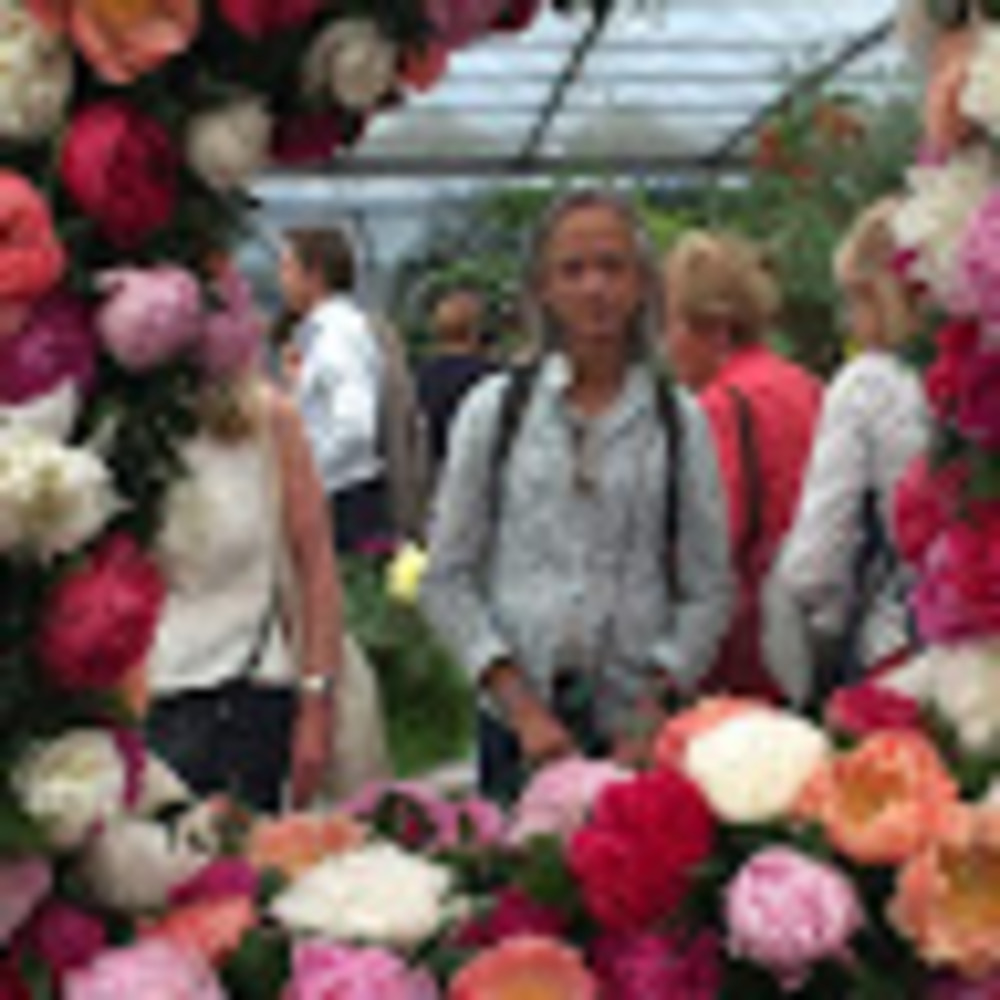 Meet your Posher, Reaz